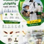 ارخص شركة مكافحة حشرات في الليسيلي | 30% خصم فوري