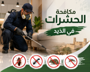 افضل شركة مكافحة حشرات في الذيد