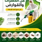 شركة مكافحة حشرات دبي | 20% خصم شامل