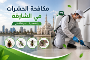 شركة مكافحة حشرات في الشارقة